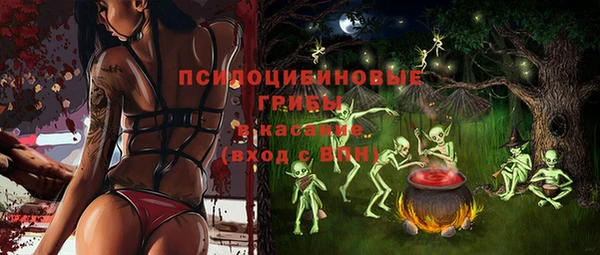 меф Горнозаводск