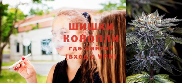spice Горняк