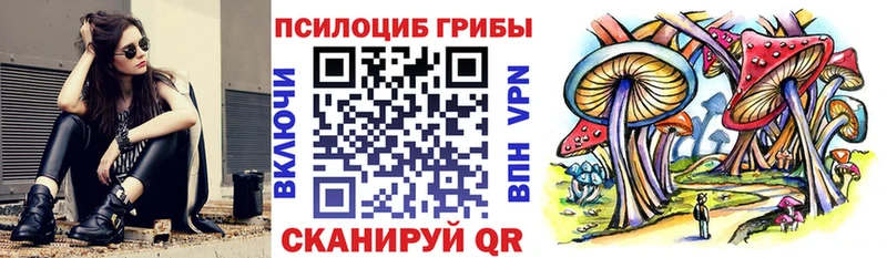 Галлюциногенные грибы прущие грибы  Купить где  Урюпинск 